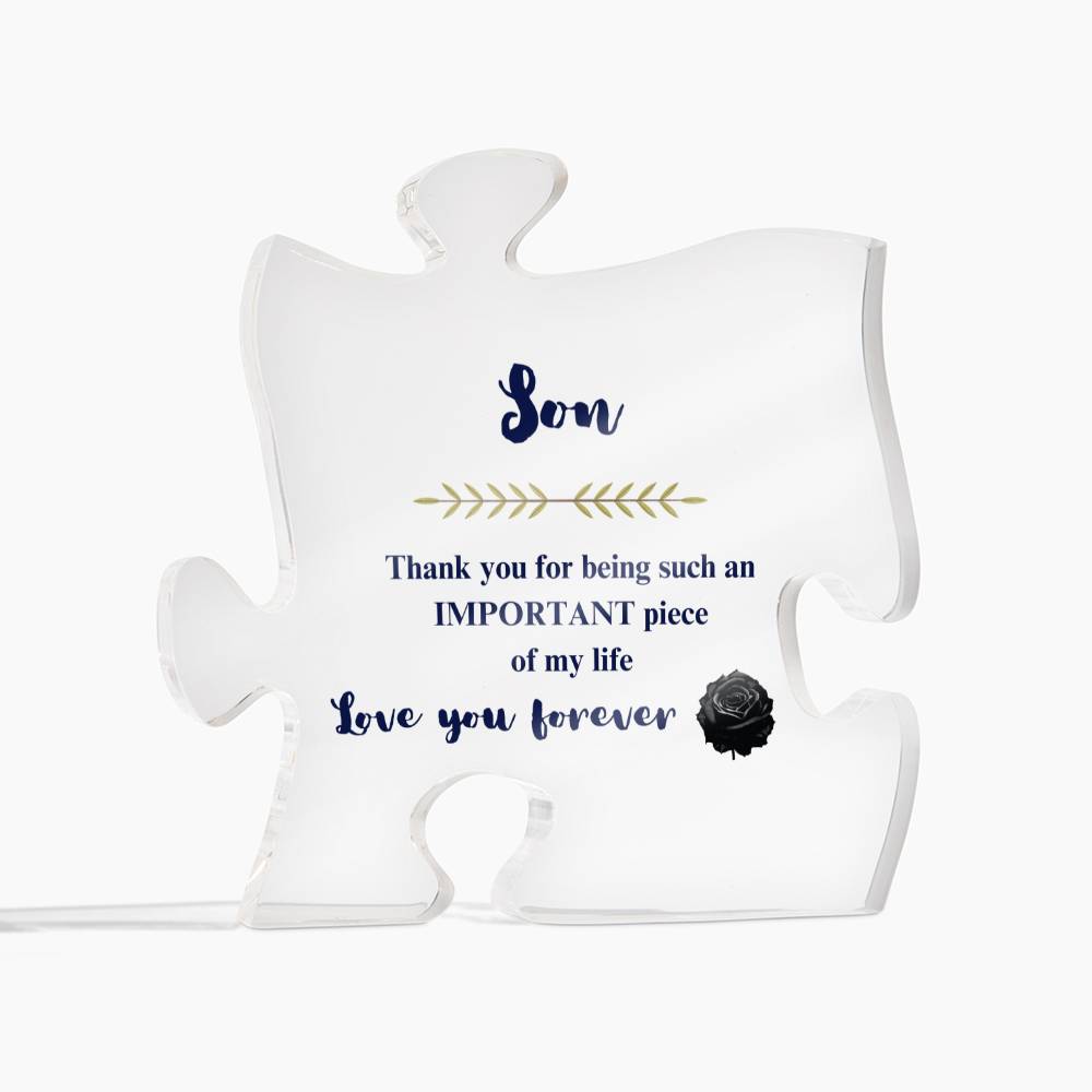 To My Son- Acrylic Puzzle Plaque